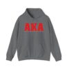 AKA American Kickboxing Academy symbol gray hoodie male model