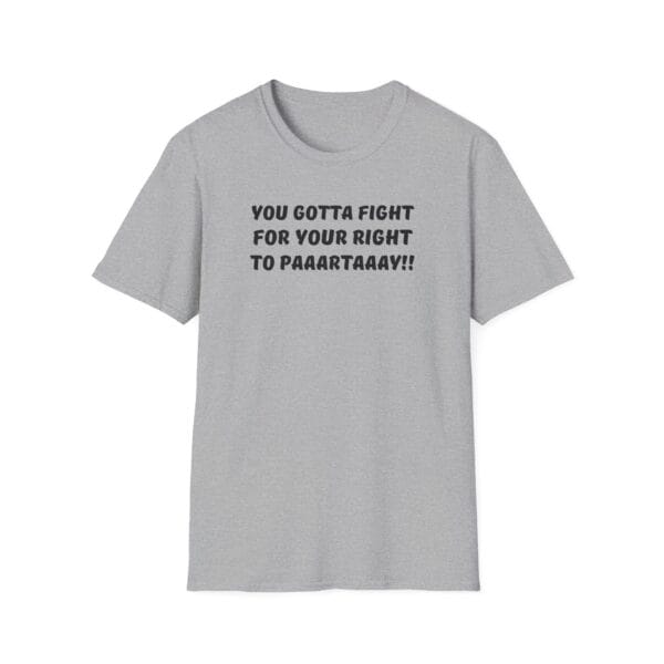 Fight for Your Right tee in gray